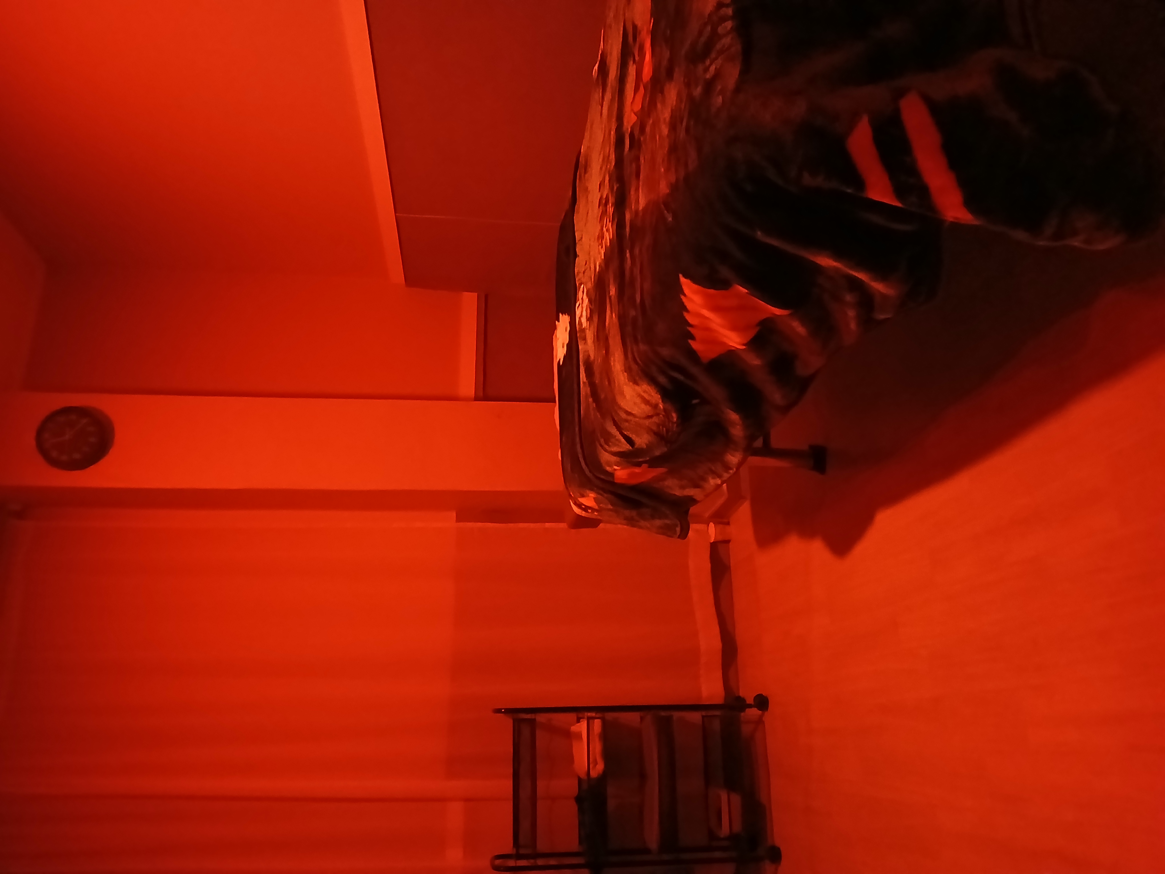 준테라피 매장 이미지